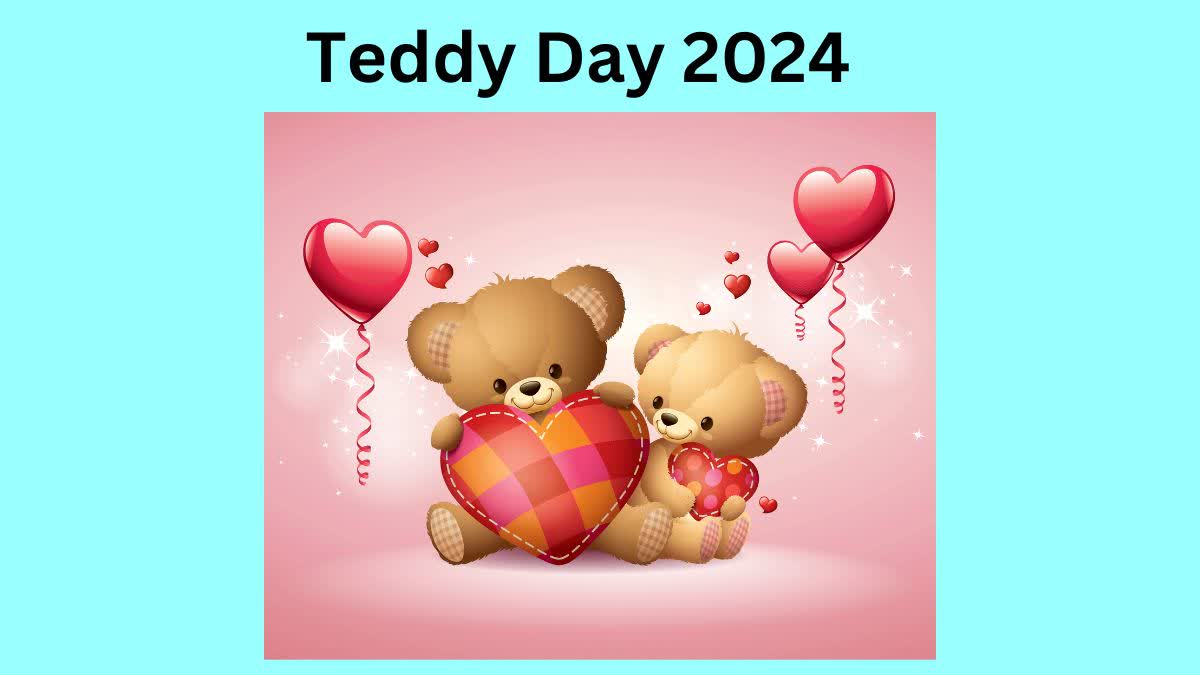 Teddy Day