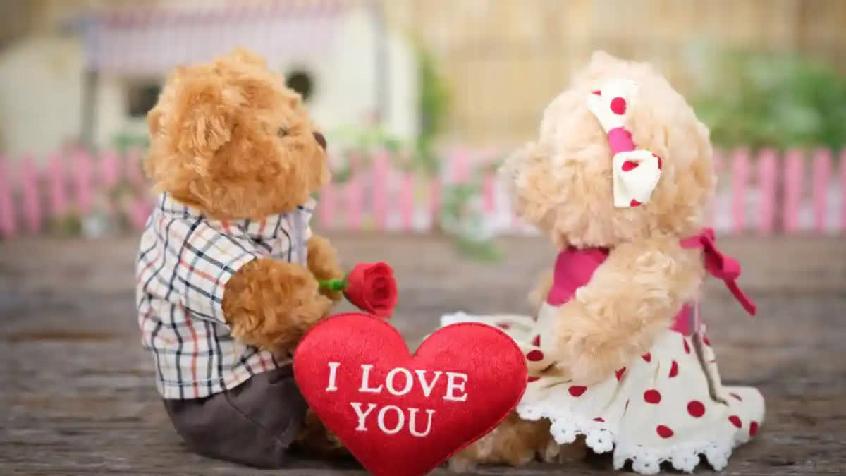 Each color of teddy has a special message