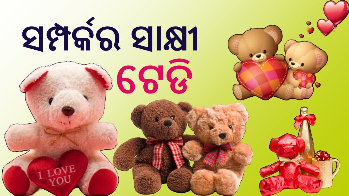 Teddy Day 2024