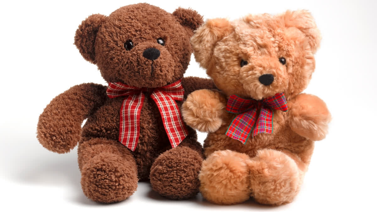 Teddy Day 2024  Valentines Week  ടെഡി ഡേ  വാലന്‍റൈൻസ് വീക്ക്  ടെഡി ബെയര്‍ ചരിത്രം