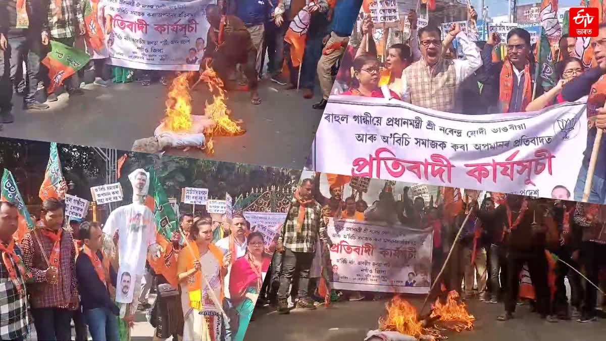 rahul-gandhi-effigy-burns-by-bjp-obc-morcha-in nagaon