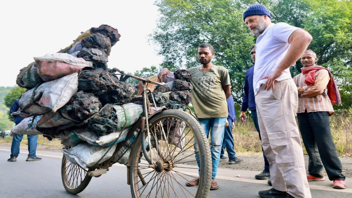 The Congress is planning to reduce Rahul Gandhi’s Bharat Jodo Nyay Yatra by 10 days to allow the former party chief to focus on the upcoming Lok Sabha polls. Accordingly, the party is looking at reducing the 11-day Uttar Pradesh leg by half and may similarly reduce a day or two in the remaining states.