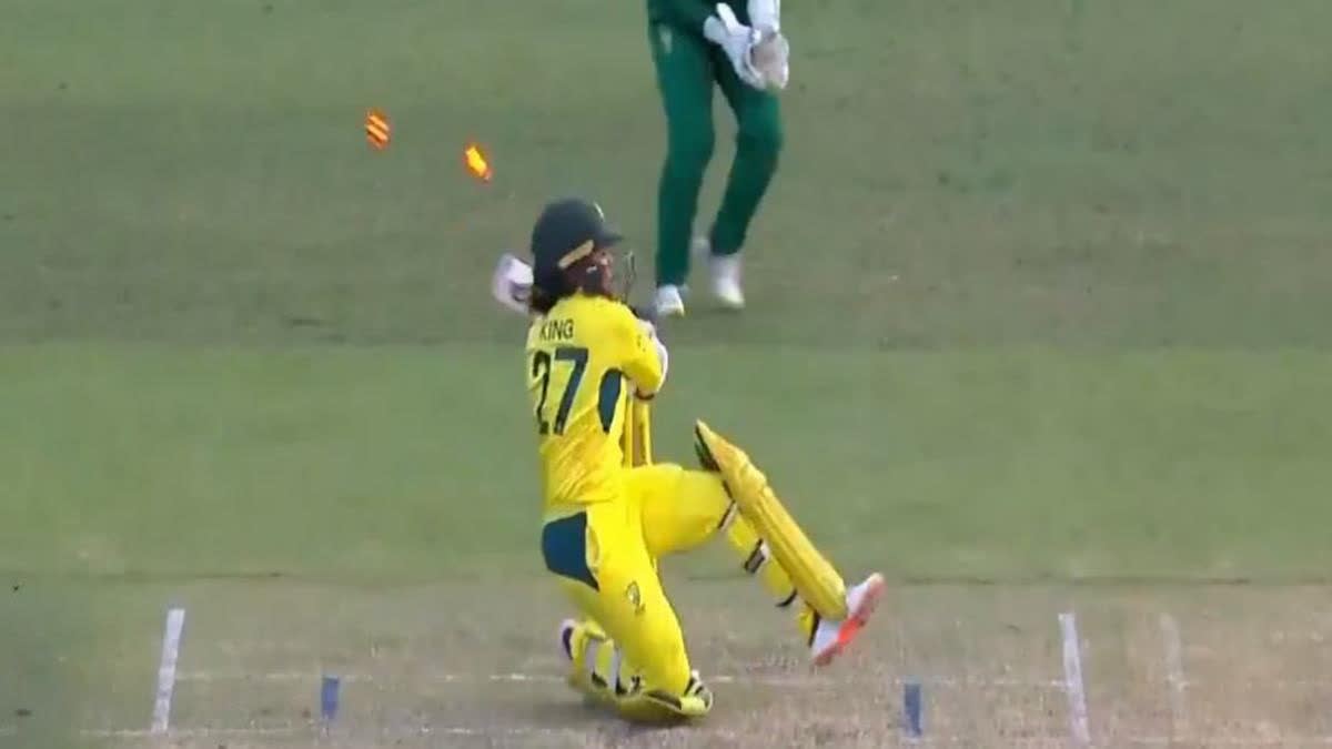 The third ODI between Australia Women and South Africa Women witnessed a bizarre incident with the batter hitting her stumps on a no-ball.