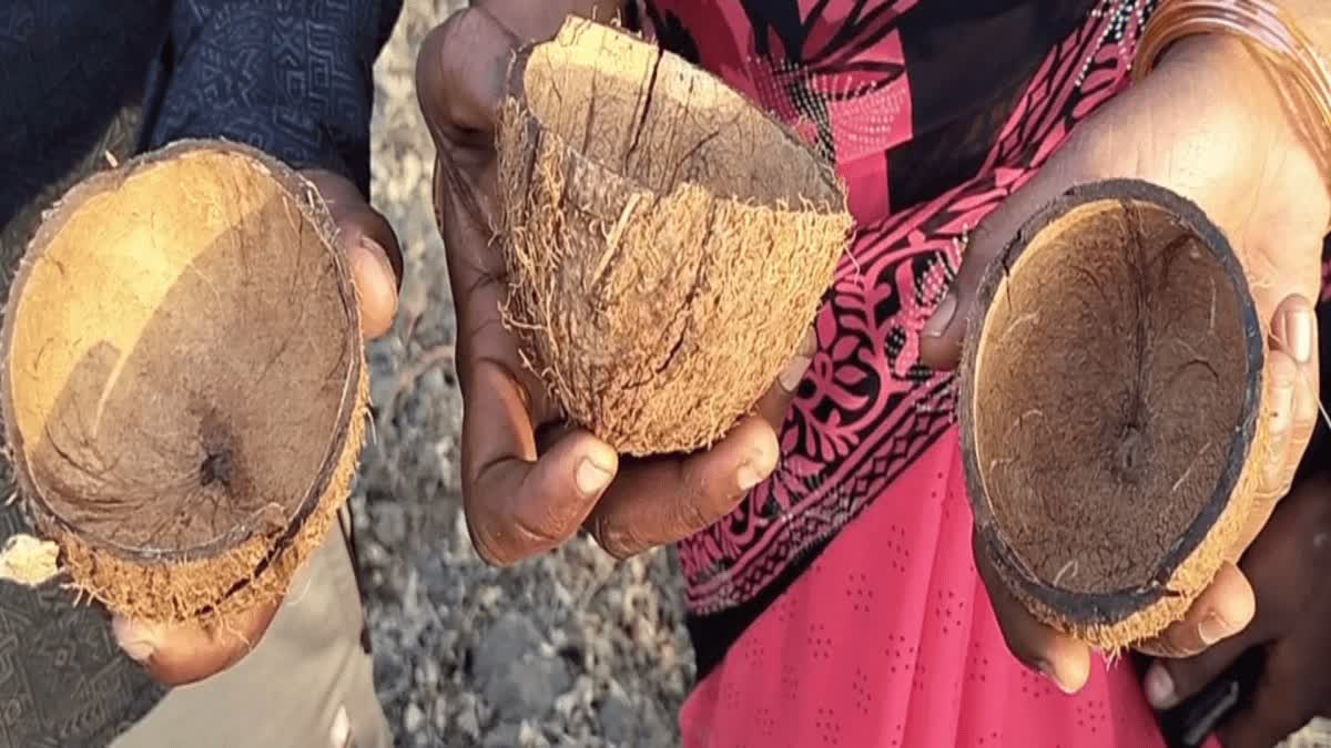 Coconut shells in which Tamil Nadu served tea in Dharmapuri