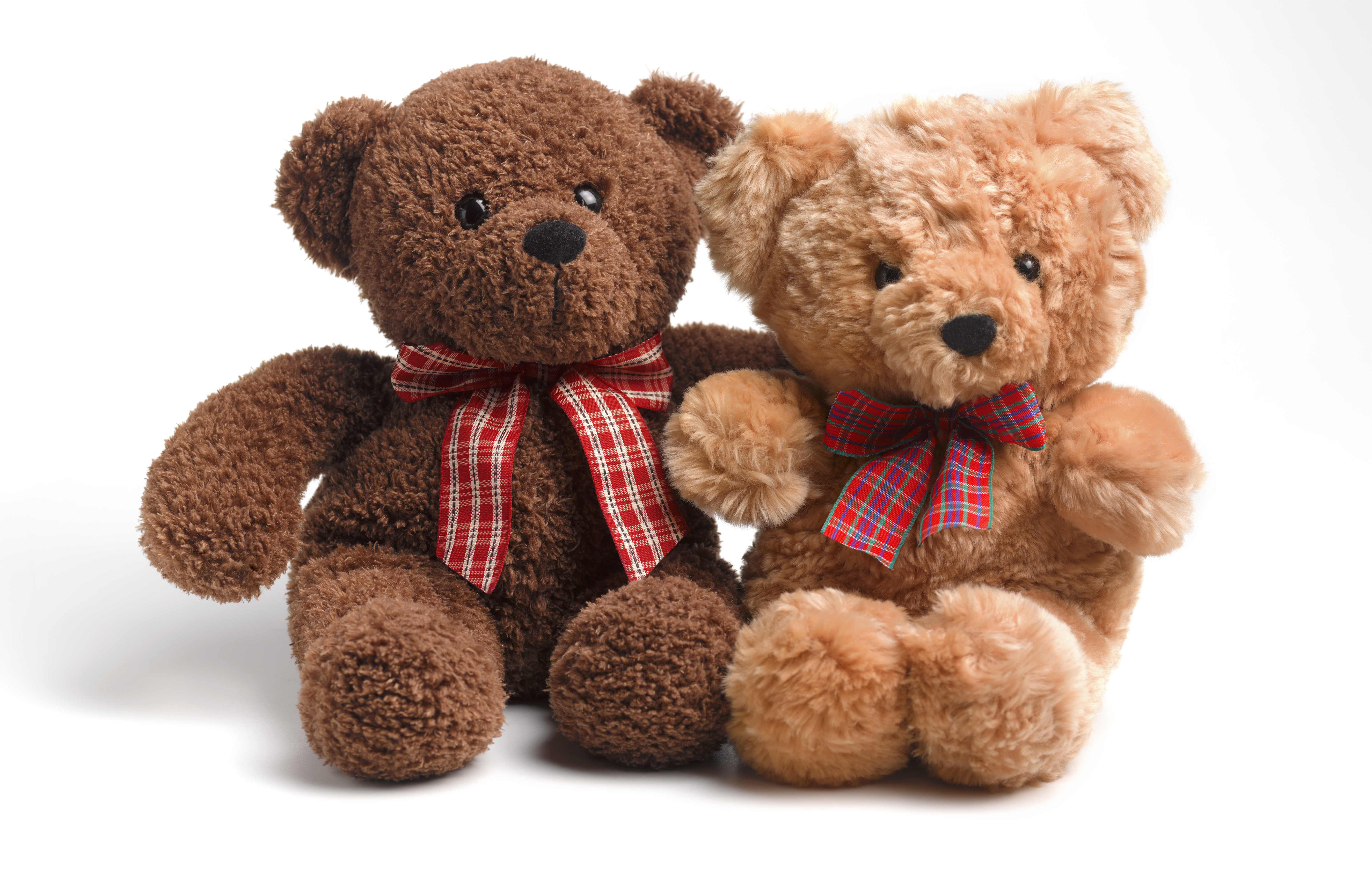 Teddy Day