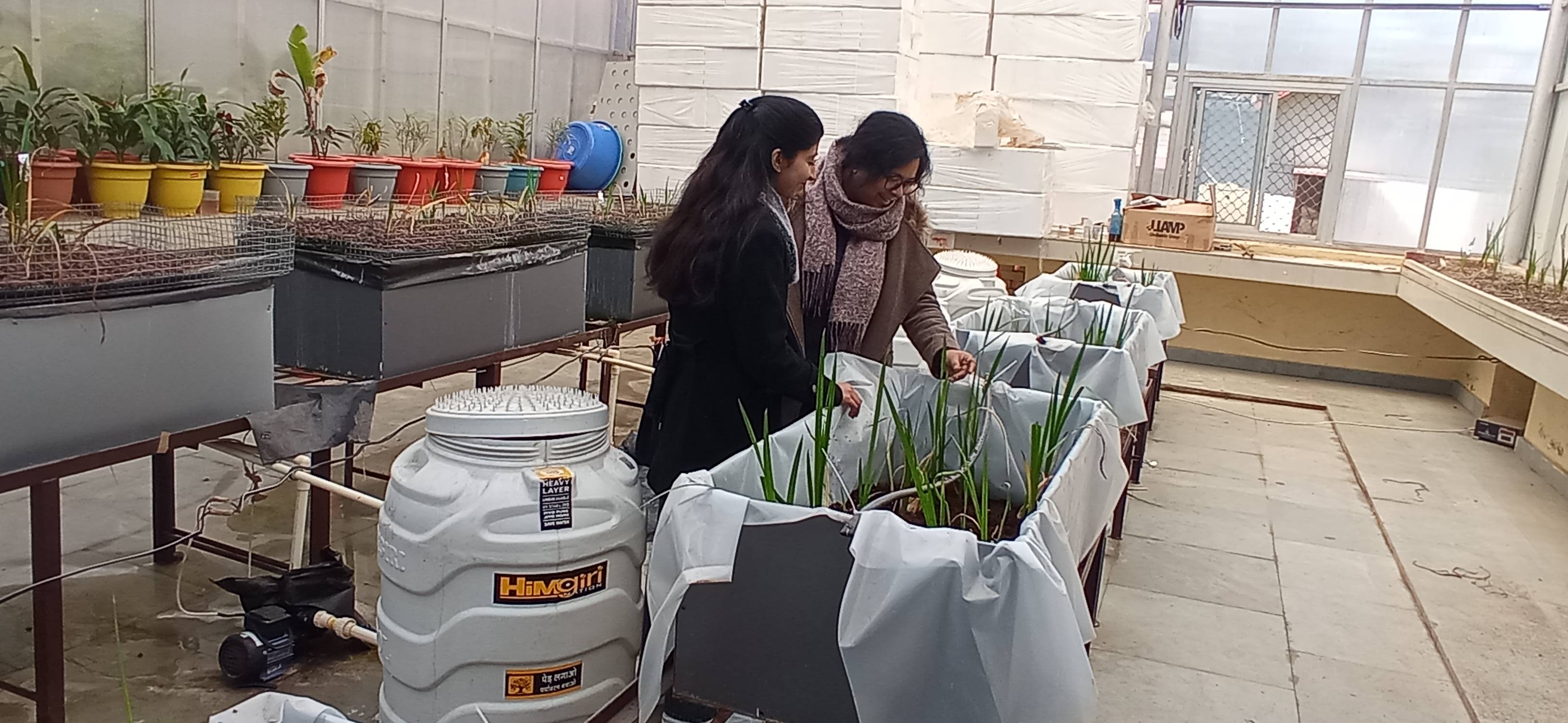 Hydroponic Farming