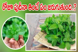 ​Mint Health Benefits