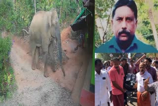 wayanad-protest-elephant-attack