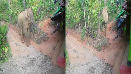 AK Saseendran about elephant attack  Wayanad elephant attack  വയനാട് കാട്ടാന ആക്രമണം  എ കെ ശശീന്ദ്രൻ കാട്ടാന ആക്രമണം  കാട്ടാന ആക്രമണം