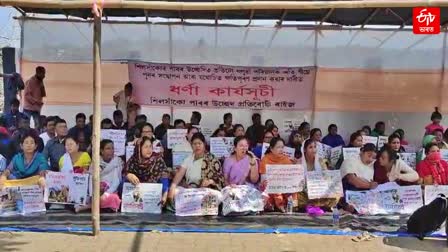 Silsako Evicted people protest in-guwahati-chachal