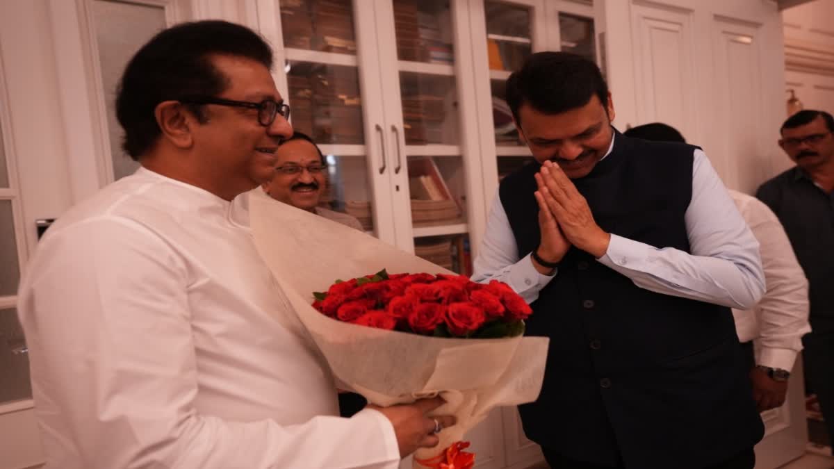 Devendra Fadnavis Meets Raj Thackeray