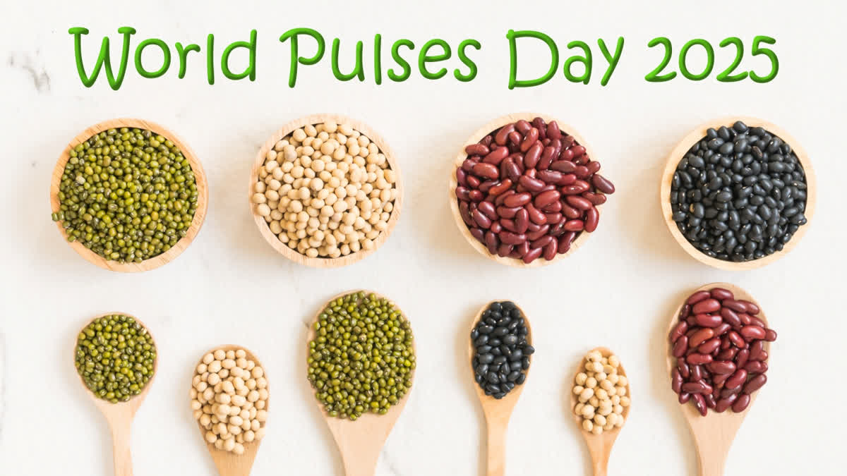 World Pulses Day