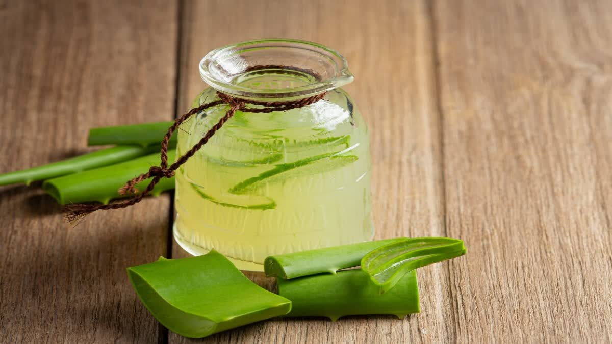 BENEFITS OF HAVING ALOE VERA JUICE  ALOE VERA JUICE BENEFITS  HOW TO MAKE ALOE VERA JUICE  കറ്റാർവാഴ ജ്യൂസിന്‍റെ ഗുണങ്ങൾ