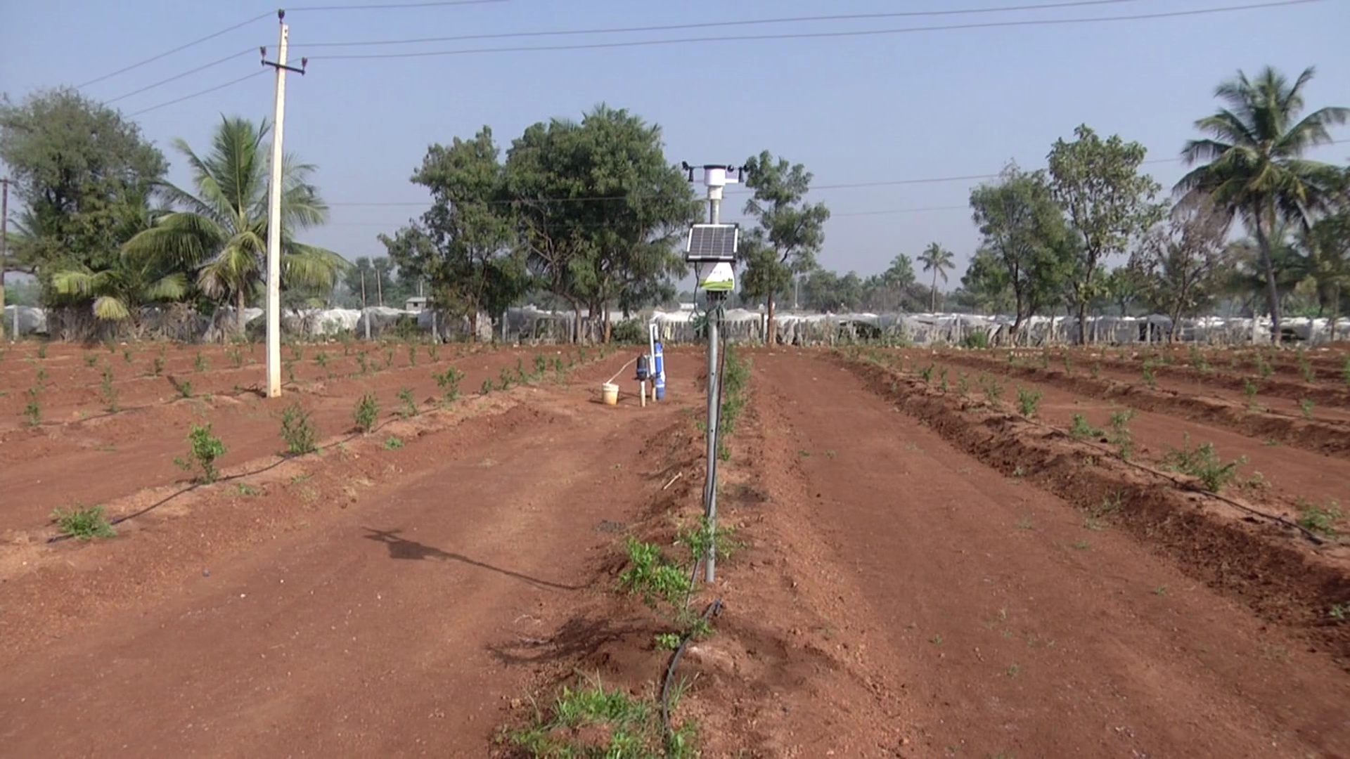 farmers-adopted-an-automated-weather-forecasting-unit-for-their-farms