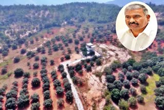 Peddireddy Land Grabs in Mangalampeta