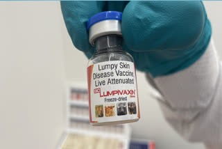 India and the world's first lumpy skin disease vaccine 'Biolumpivaxin' gets license from CDSCO