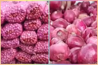 Onion producers of Alwar