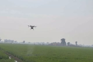 A drone, equipped with fertiliser, in the field of  Pachhayat Trewa village.