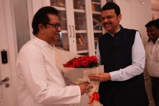 Will MNS Ties Up With BJP In Maharashtra? Fadnavis-Raj Thackeray Meeting Fuels Speculations