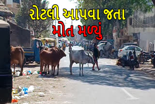 જામનગરમાં ખૂંટિયા અડફેટે મહિલાનું મોત