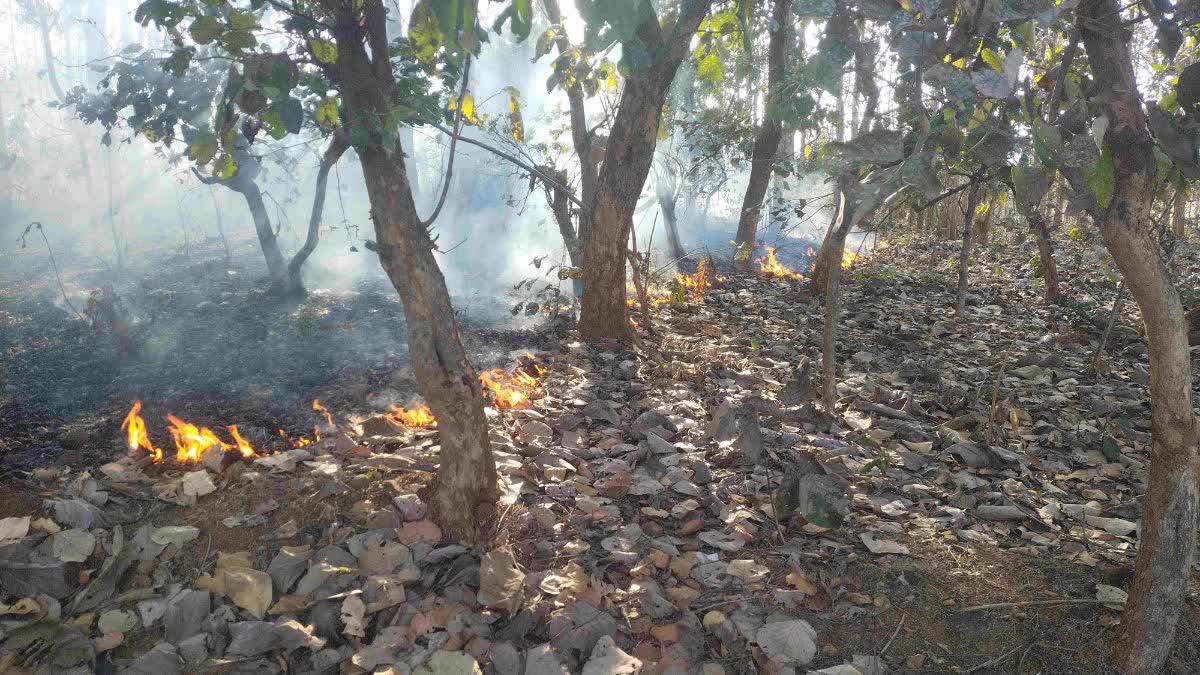 Fire breaks out in Manendragarh