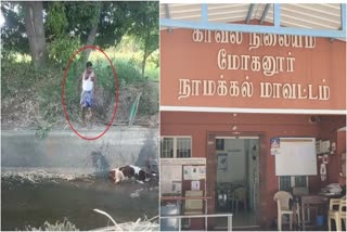 வாய்க்காலில் தவறி விழுந்த கன்றை கல்லால் தாக்கிய மர்ம நபருக்கு போலீசார் வலைவீச்சு