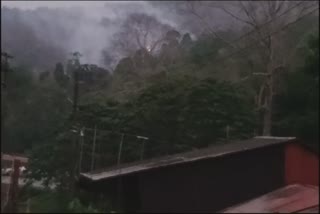 Forest fire broke out in Sabarimala  Forest fire catches in Sabarimala  ശബരിമലയിൽ കാട്ടുതീ  നിയന്ത്രിക്കാനാകാതെ കാട്ടുതീ