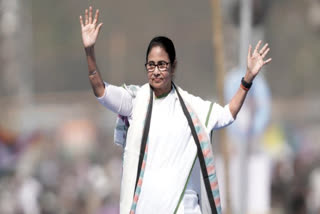 TMC supremo Mamata Banerjee on Sunday asserted that her party, a partner of the opposition bloc INDIA on the national stage, will contest the Lok Sabha polls in West Bengal and asserted that her party will confront not only the BJP but also the CPI (M) and Congress in the state.