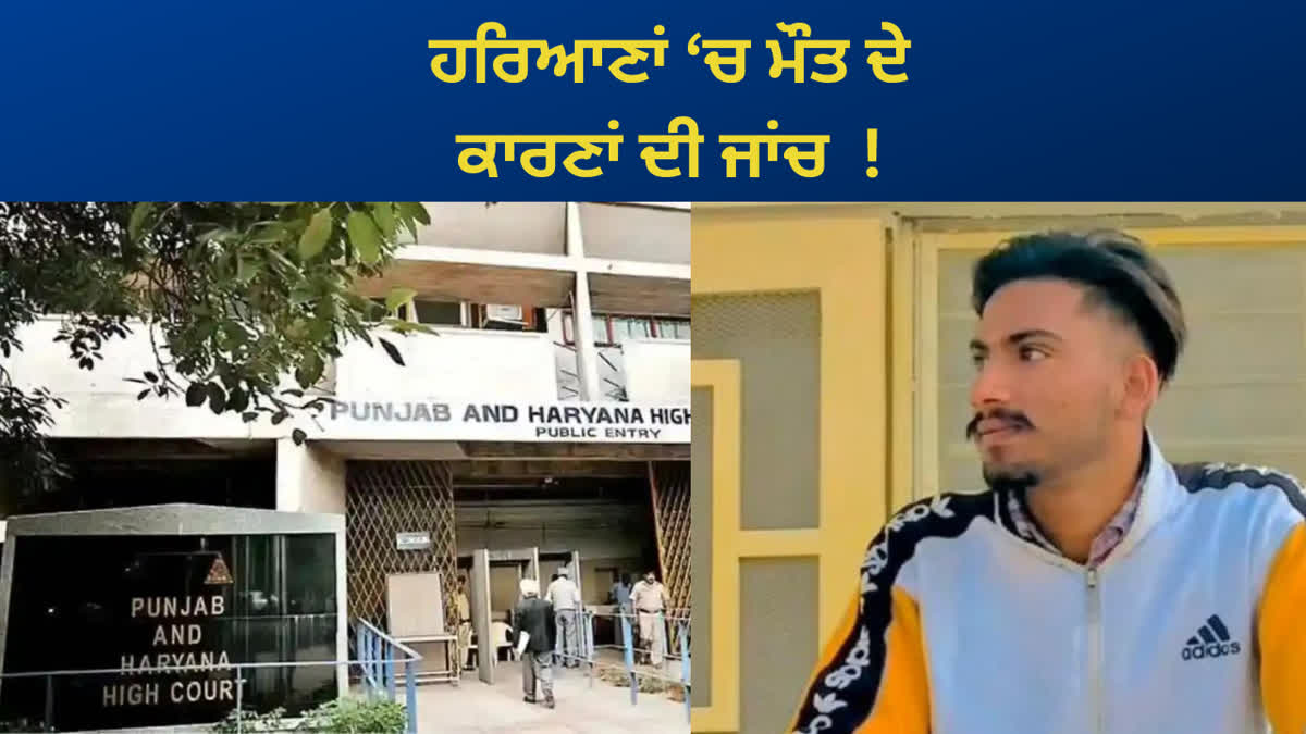 Punjab Haryana High Court has