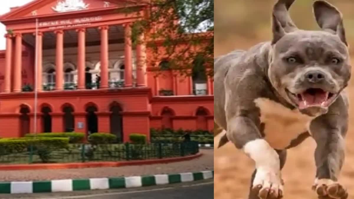 DOG BREEDS BAN  KARNATAKA HIGH COURT  FEROCIOUS AND DANGEROUS DOGS  നായ്ക്കളെ നിരോധിച്ച സർക്കുലർ