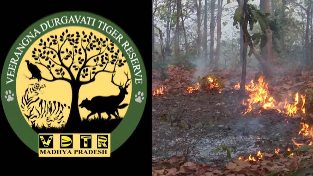 SAGAR TIGER RESERVE DEAL WITH FIRE