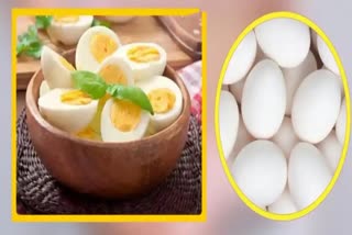 Facts About Eggs