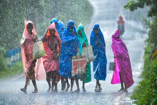 WEATHER UPDATE KERALA  KERALA RAIN ALERT  KALLAKKADAL PHENOMENON  കേരളം കാലാവസ്ഥ റിപ്പോര്‍ട്ട്