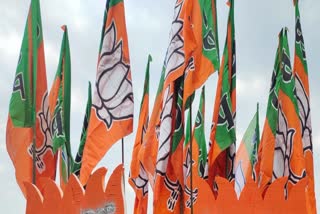 BJP released the 10th list of candidates (Photo IANS)