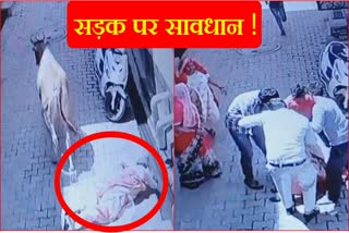 Faridabad Cow Hits Old woman while escaping from Dogs Captured in CCTV