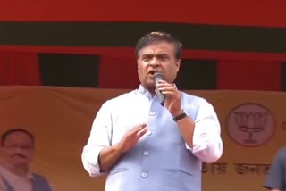 Himanta Biswa Sarma on ULFA