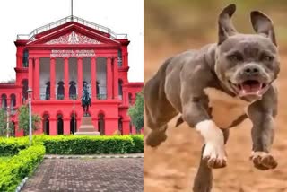 karnataka-high-court-quashes-centre-govt-order-banning-23-dangerous-dog-breeds