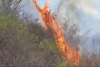 Fire In Kaimur