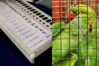 Parrots Arrested for Election Astrology