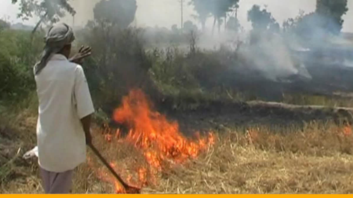 Action against farmers