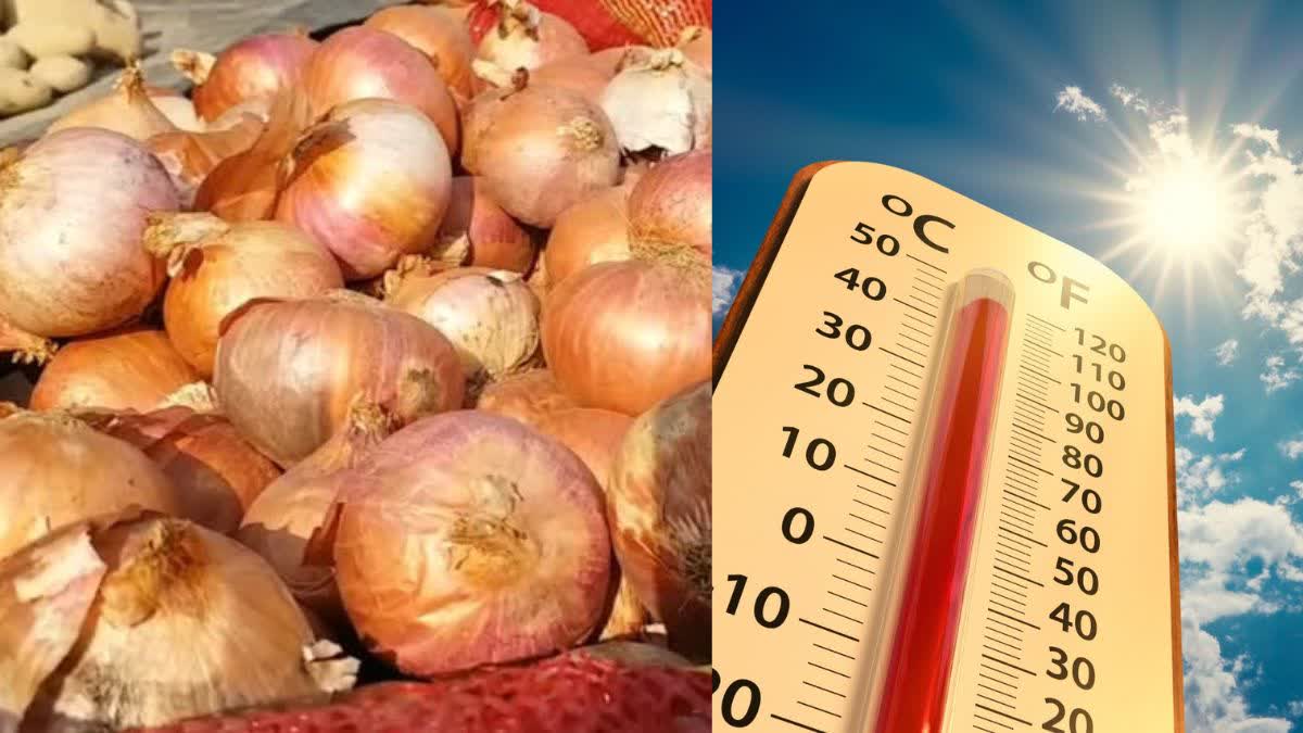BENEFITS OF EATING ONIONS IN SUMMER