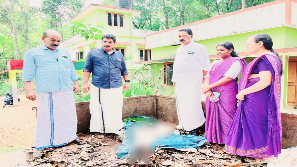 TIGER PRESENCE  TIGER KILLED GOAT  ചക്കിട്ടപ്പാറ കടുവ സാന്നിധ്യം  TIGER IN CHAKKITTAPARA