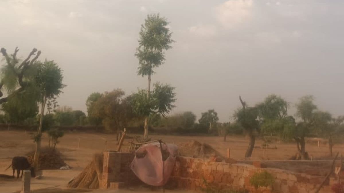 पश्चिमी विक्षोभ से बदला मौसम