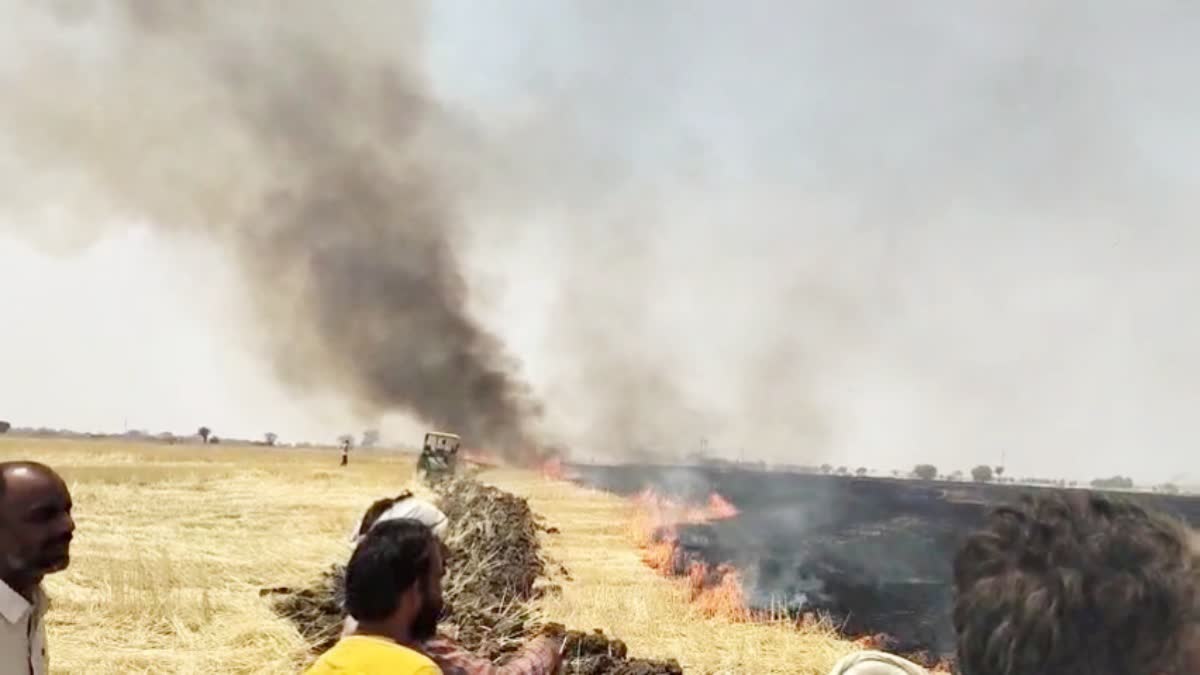 SHIVPURI Massive fire IN fields