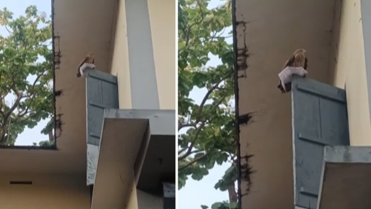 KPSC  പിഎസ്‌സി പരീക്ഷ