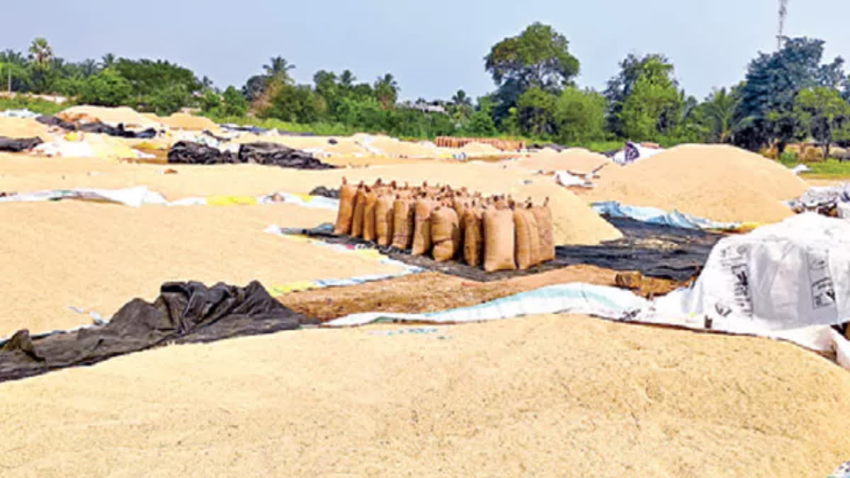 Paddy Procurement in Telangna