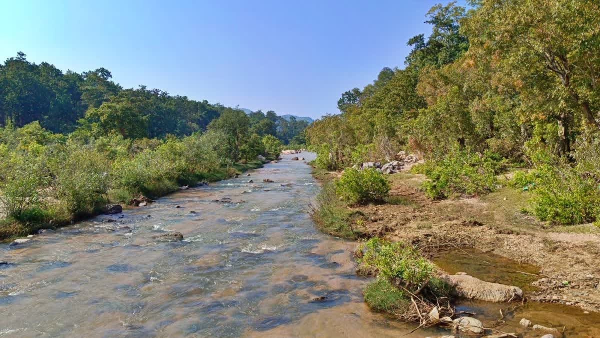 CAMPAIGN TO SAVE THE RIVER