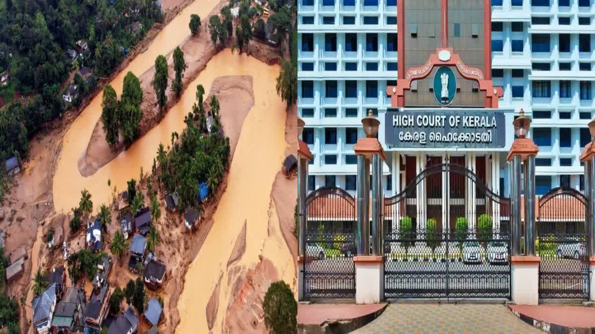 MUNDAKAI CHOORALMALA VICTIMS HIGHCOURT KERALA മുണ്ടകൈ ചൂരൽമല ഹൈക്കോടതി