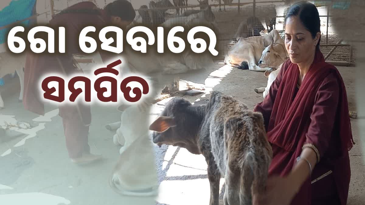 Royal family daughter Chinmayee Deo dedicated her life for service of cow in Puri