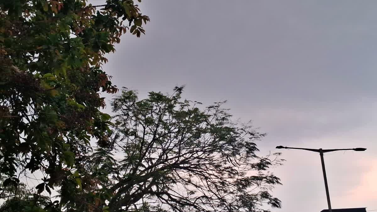 JHARKHAND WEATHER